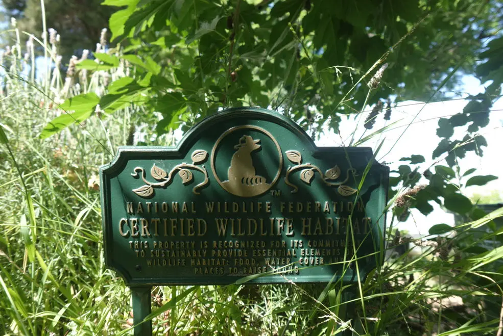 Certified Wildlife Habitat — where the medicine grows