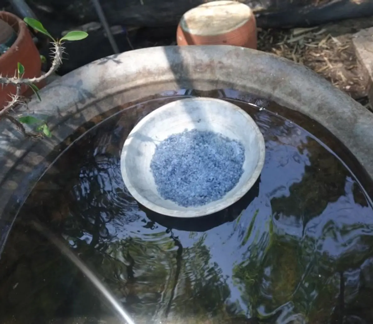Water, minerals, intention — the elemental foundation